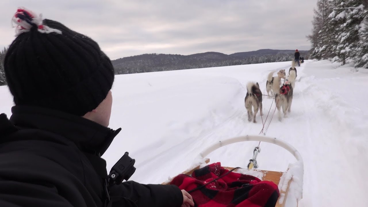 CHIEN DE TRAÎNEAU AU CANADA AVEC LA TEAM CROÛTON ! (c'est trop dar)