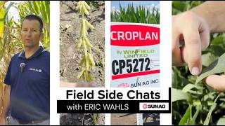 Field Side Chats: Soil Sampling