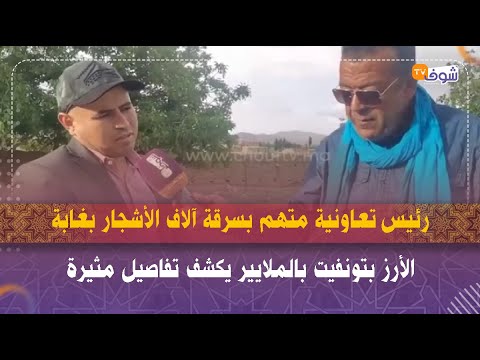 رئيس تعاونية متهم بسرقة آلاف الأشجار بغابة الأرز بتونفيت بالملايير يكشف تفاصيل مثيرة ويرد