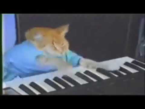 keyboard-cat-10-hours