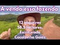 A venda essa fazenda de 12 alqueires, 58.5 hectares, escriturada em Cocalzinho Goiás