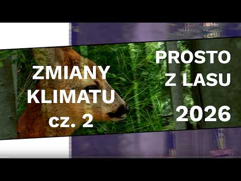 Straight from the forest - Climate change. Part 2 [2026]