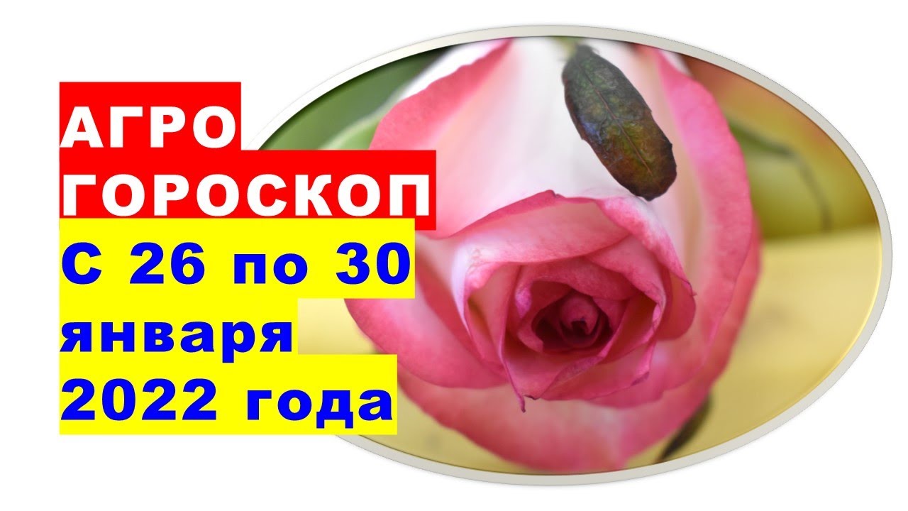 Агрогороскоп осеннего опрыскивания сада в ноябре 2023Agrohoroscope for autumn ga