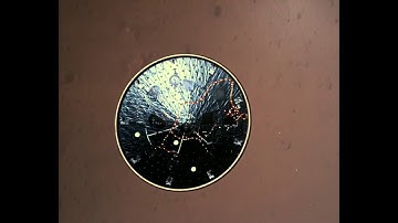 Perseverance’s Descent & Touchdown on Mars: Rover Descent Camera POV (Official NASA Clip)