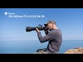 Wildlife photographer simon roy on the sigma 150600mm f563 dg dn os  sports