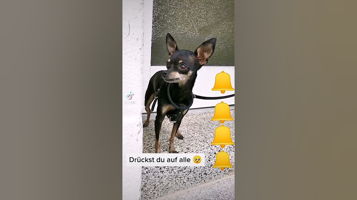 Klingelstreich Prank 🔔🤣 @cravallibing #Shorts #tiktok #lustig #prank