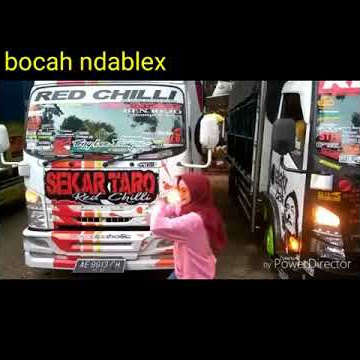 Story' wa TRUK SEKAR TARO || story' wa keren abis