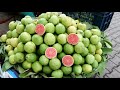 Healthy Mouthwatering Indian Fruits | Healthy Indian Street Food