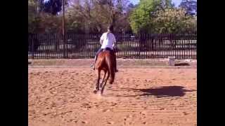 SIENA FLATWORK 07 OCTOBER
