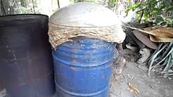 2016 mushroom farm ideas