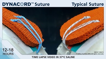 DYNACORD Suture Time Lapse Video