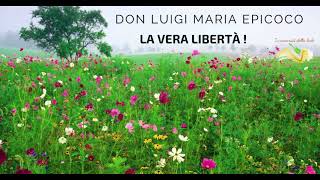 La vera libertà - Don Luigi Maria Epicoco