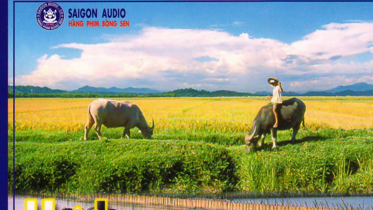 Жетілген орыс порно онлайн көру Көшедегі секс туралы жаңа бейнелер