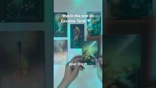 ✨YOU & YOUR CRUSH | TAROT LOVE READING | 16TH - 23RD JUNE 2026✨