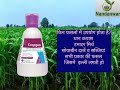 Cropgen Cropcrest India coragen 60ml &amp; 150ml Nandanwar ksk 9763123897