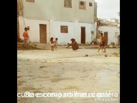 Tudo culpa da cachaça