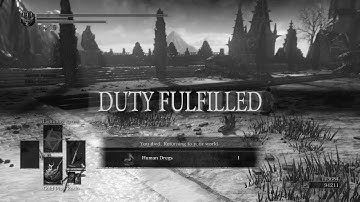 Running into hackers in Dark souls 3