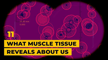 What muscle tissue reveals about us │ Sending Worms to Space with Colleen Deane