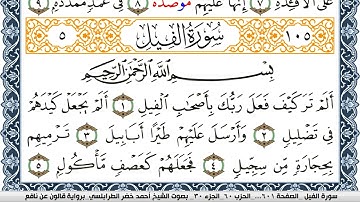 سورة الفيل احمد الطرابلسي  برواية قالون عن نافع Surah Al Feel