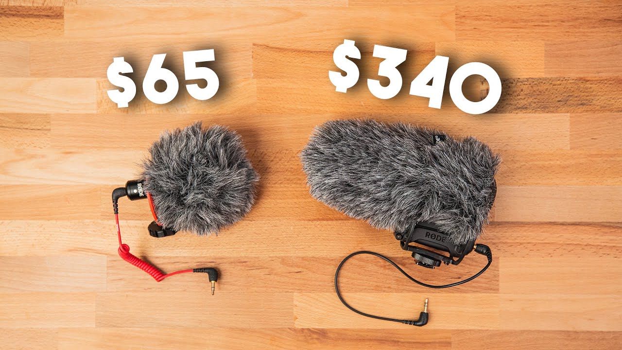 RØDE VideoMic Pro+ Is it worth the upgrade? - Newsshooter