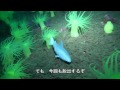 ROBOT　SHARK　巨大ハタ対サメ君の旅　ダイビング和歌山南紀　田辺ダイビングサービス