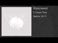 Waterweed - Frozen Time