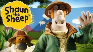 Zebra Ducks Of The Serengeti Shaun The Sheep S2 Full Episodes