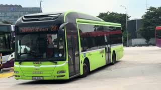 SMB3082D 291, SBS8791Z, SBS8497Z 296, SBS8907H 291 & SBS3846H 72 at Tampines Bus Int