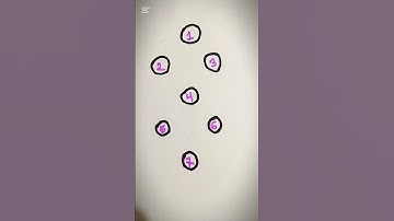 Drawing Checkered Path 😍 Hacks #drawing #art #challenge #game #hacks #shortvideo #shorts