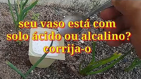 Como preparar uma boa terra?
