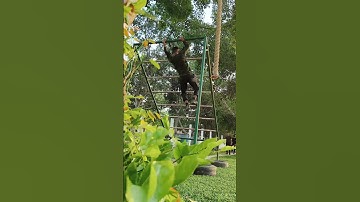 Commando training video #commando #nsg #nsgcommando #indianarmy #specialforces