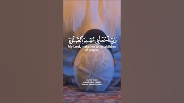 {رَبِّ اجْعَلْنِي مُقِيمَ الصَّلَاةِ وَمِنْ ذُرِّيَّتِي} #سورة_إبراهيم Ibrahim  آيات 40-41
