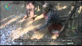 DVB - No comment 20151004