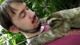 A  Slothhug from 'Sunshine'