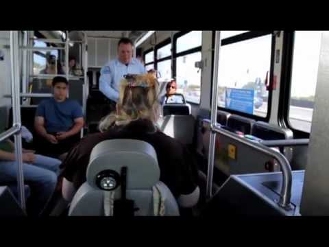 How to ride the Bus - General Public