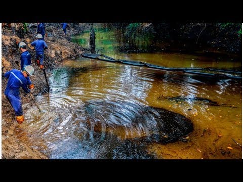 Video: Rivieren van Colombia