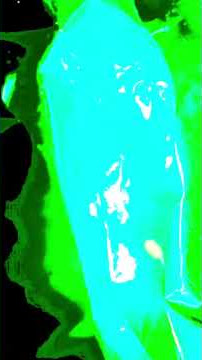 #music #coversong #nostalgia