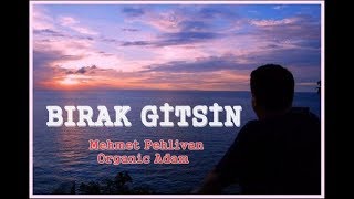 BIRAK GİTSİN Şiiri İLE Mehmet PEHLİVAN & Zafer GÜLER GULE Resimi