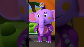 Kent The Elephant - I Had A Little Turtle Song  #shorts #kidssong #nurseryrhymes #hooplakidz