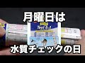 自分の水槽は大丈夫！？ でも安心！超簡単！！テトラテスト 試験紙を使って水質チェックを行おう！！ アクアリウム 動画