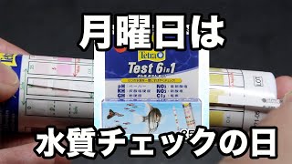 自分の水槽は大丈夫！？ でも安心！超簡単！！テトラテスト 試験紙を使って水質チェックを行おう！！ アクアリウム 動画