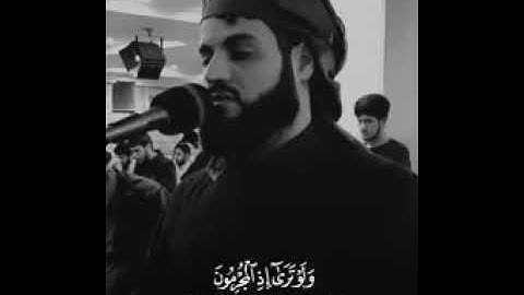 الشیخ رعد الكردي ,تلاوة غاية في الجمال من سورة السجدة ؛ مسجد بهشت raad alkurdi surah alsujdah