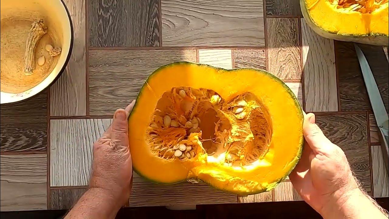 Тыква ВОЛЖСКАЯ СЕРАЯ в разрезе и на вкус, оценка хорошо. - YouTube