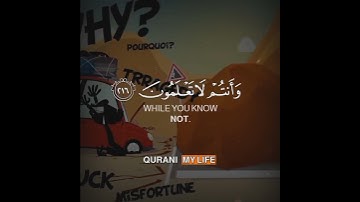 وعسى أن تكرهوا شيئا وهو خير لكم من سورة البقرة رعد الكردي 🖤 Surah Al Baqarah Raad Alkurdi