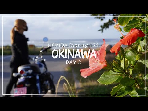 沖縄の旅 Day2)美しい海とネコ。贅沢な私のひとり旅。|Honda Monky125 | 30代女子の休日バイク Vlog