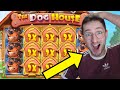 Des dizaines de niches sur dog house  best of casino en ligne