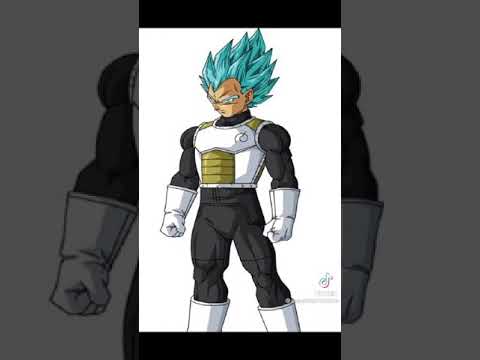 صور غوكو وفيجيتا الجزء الثالث عشر من دراغون بول سوبر