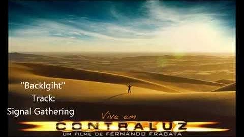 Backlight - The Signal Gathering - Nuno Malo
