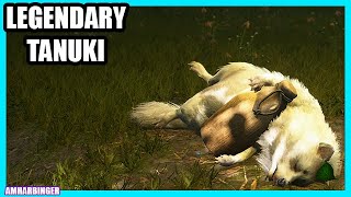 Assassin's Creed Shadows Legendary White Tanuki Location