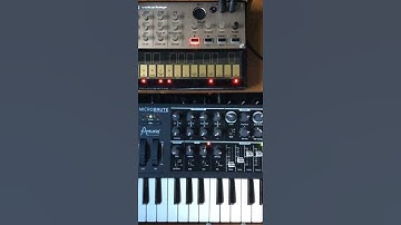 Brute filtering volca
